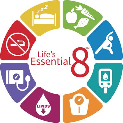 Essential-8.jpg